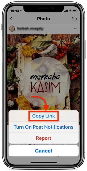 descargar instagram foto privada iphone